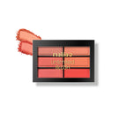 Makeup blush palette with swatch on a white background