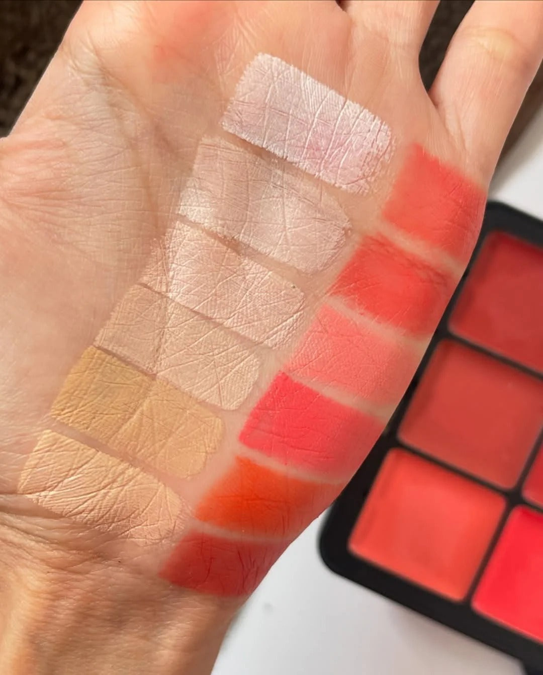 CARLA SECRET -Cream Blush And Concealer Palette