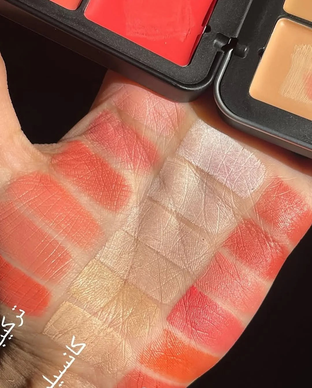 CARLA SECRET -Cream Blush And Concealer Palette